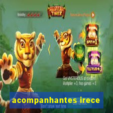 acompanhantes irece